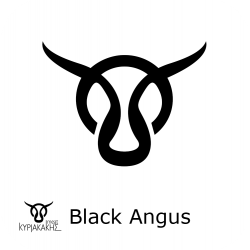 Black Angus USA