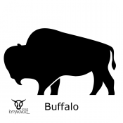 Buffalo (3)